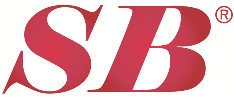 SB Swissbusiness